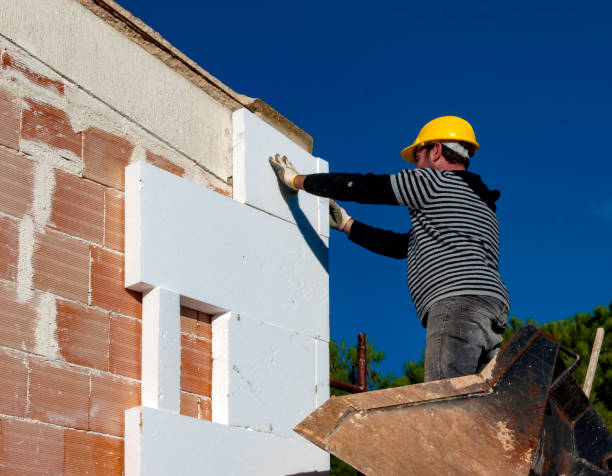 Best Insulation Maintenance and Repair in Fruitland, IA