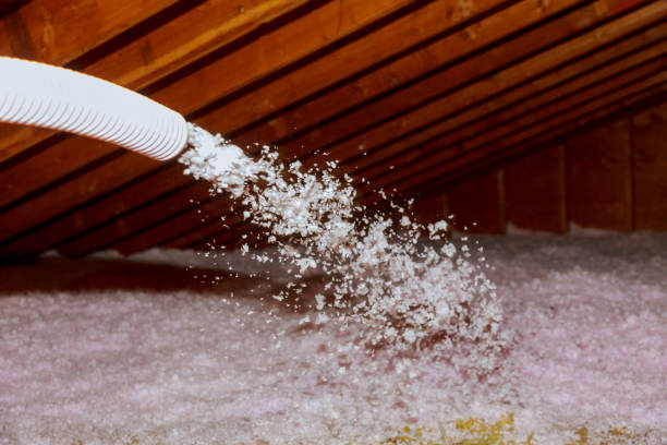 Best Residential Insulation in Fruitland, IA