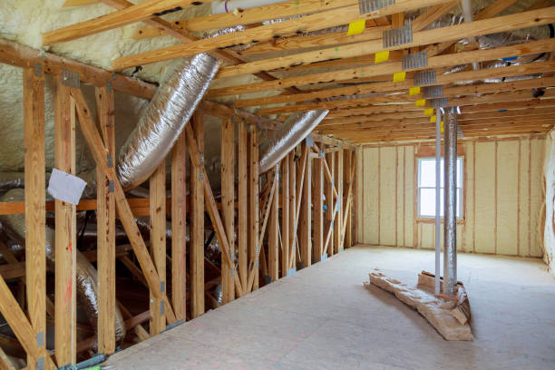 Professional Insulation Contractor in Fruitland, IA