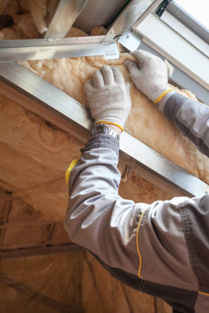 Best Energy Efficiency Insulation in Fruitland, IA
