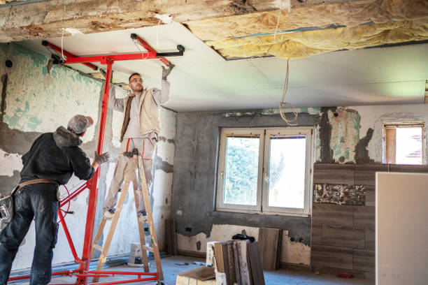 Best Commercial Insulation in Fruitland, IA