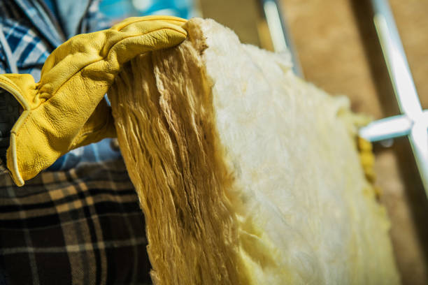 Best Eco-Friendly Insulation in Fruitland, IA